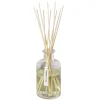 Aery Living Botanical Tomato Leaf Diffuser 200ml