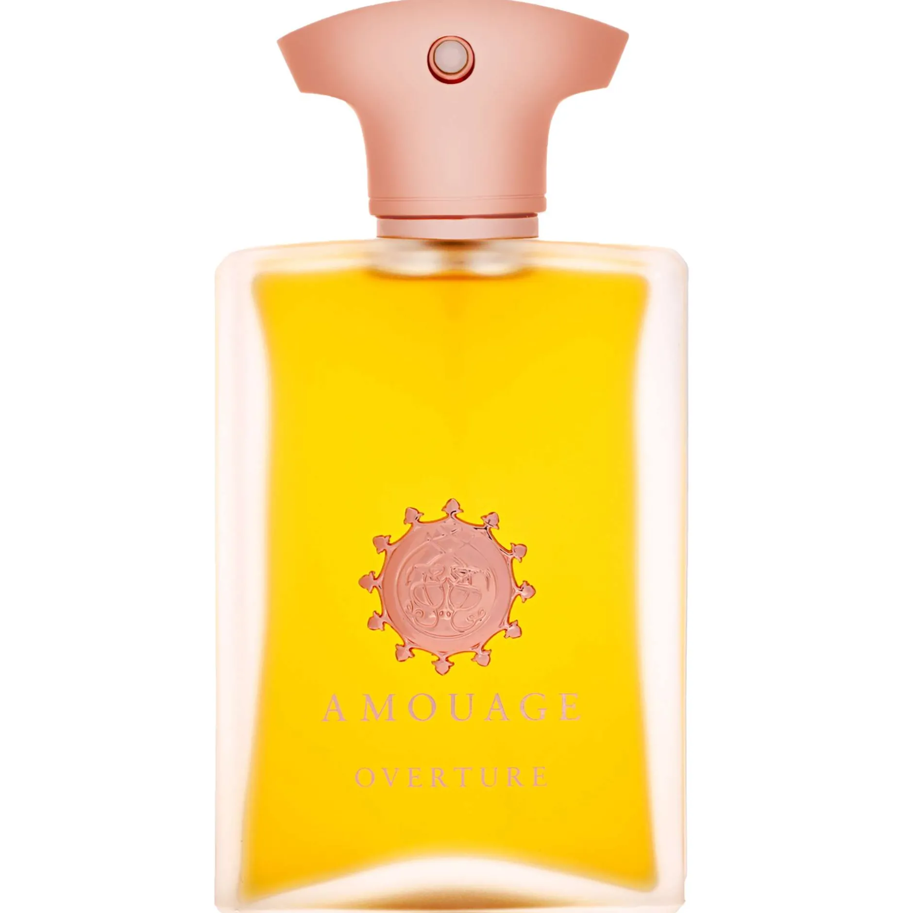 Amouage Overture Man Eau de Parfum Spray 100ml Discount