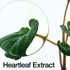 Anua Heartleaf 77% Soothing Toner 250ml Online