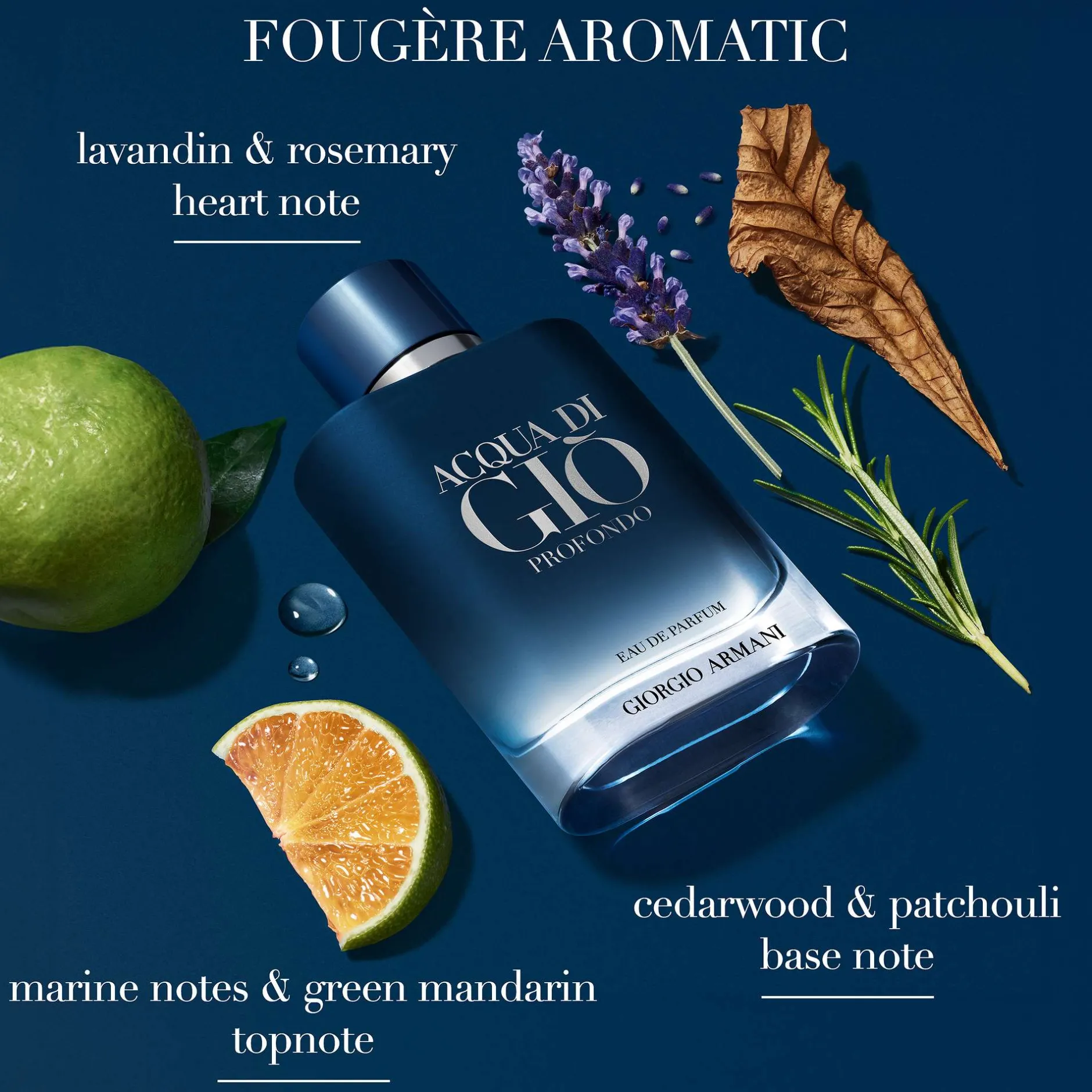 Armani Acqua Di Gio Profondo Eau de Parfum Spray 200ml New