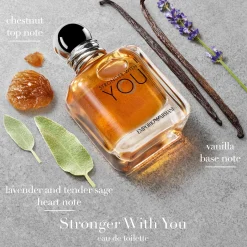 Armani Stronger With You Eau de Toilette Spray 50ml Gift Set Best
