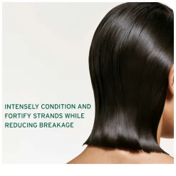Biolage Strength Recovery Deep Treatment Pack 100ml Best