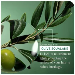 Biolage Strength Recovery Repairing Spray 250ml Outlet