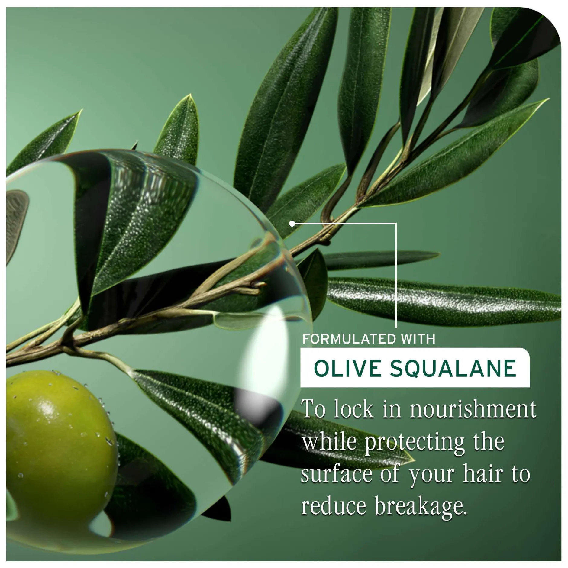 Biolage Strength Recovery Repairing Spray 250ml Outlet