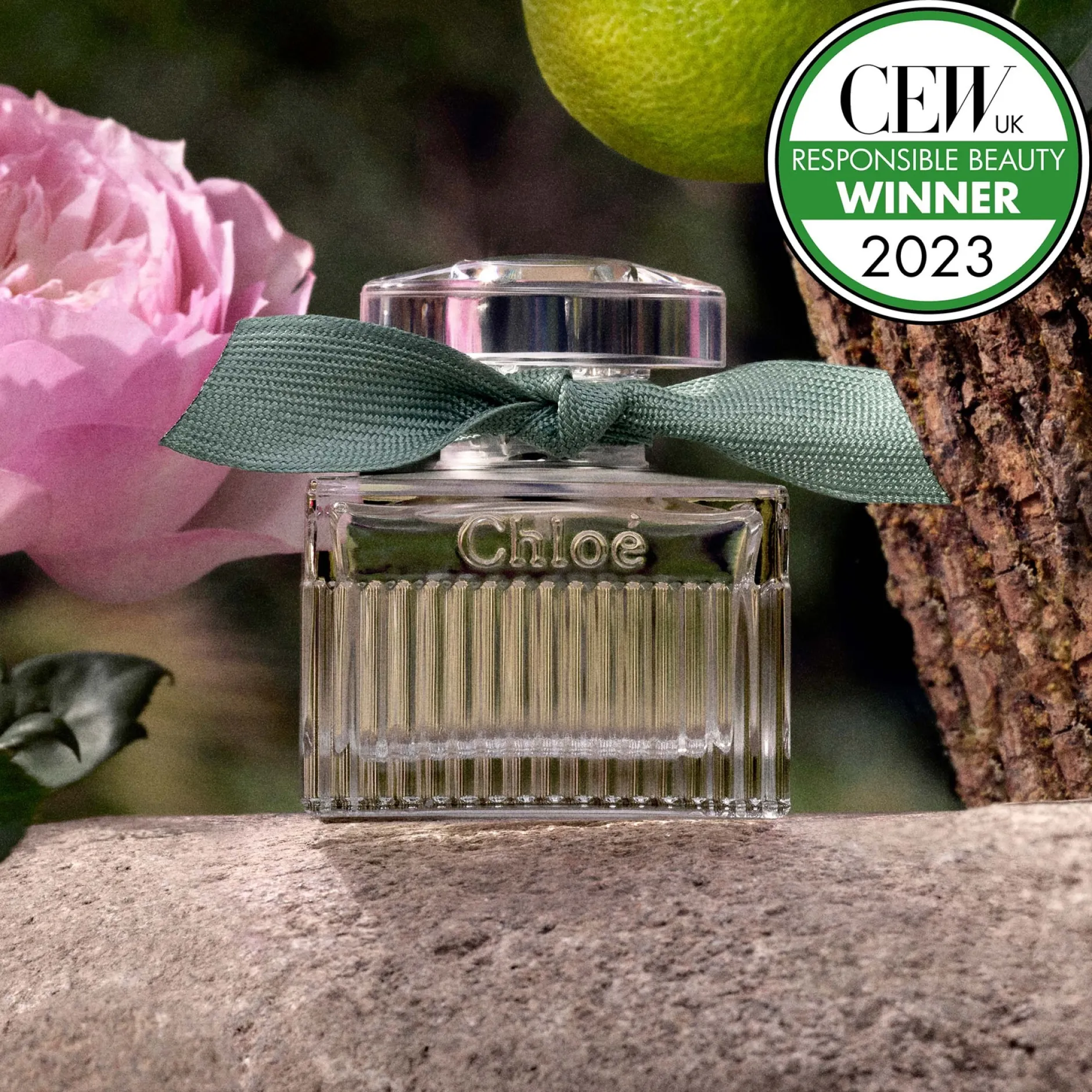 Chloé Rose Naturelle Intense Eau de Parfum Spray 50ml Outlet