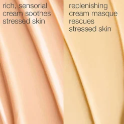 Dermalogica Multivitamin Stressed Skin Recovery System Best