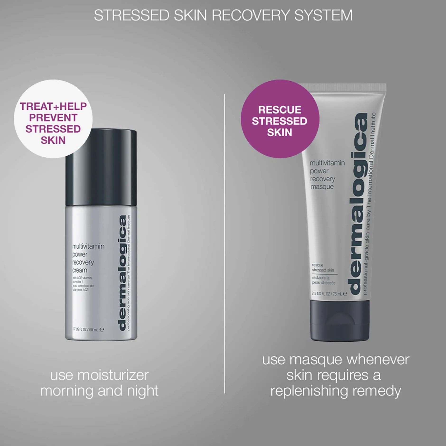 Dermalogica Multivitamin Stressed Skin Recovery System Best