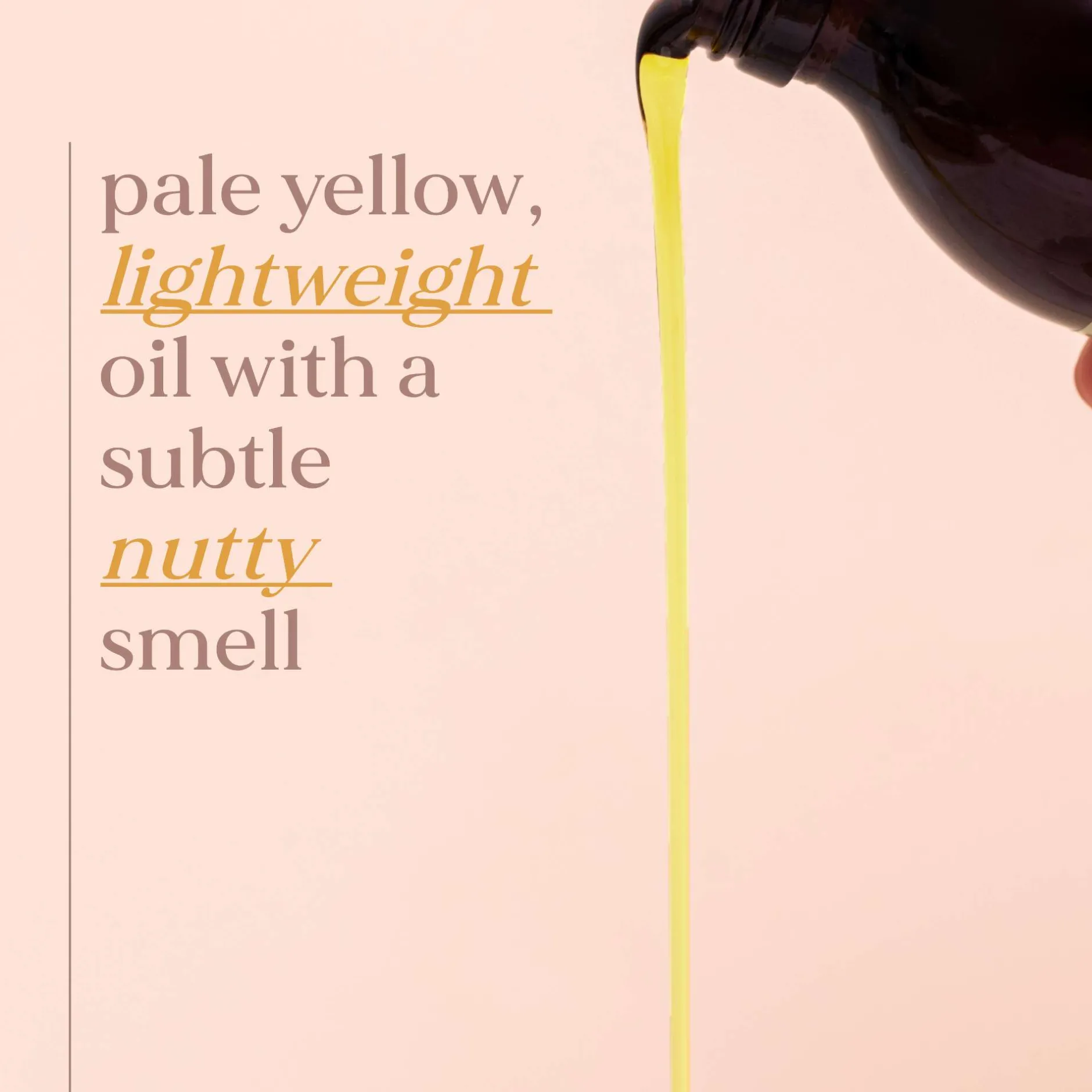 Fushi Organic Health Oils Organic Evening Primrose Oil 100ml Discount