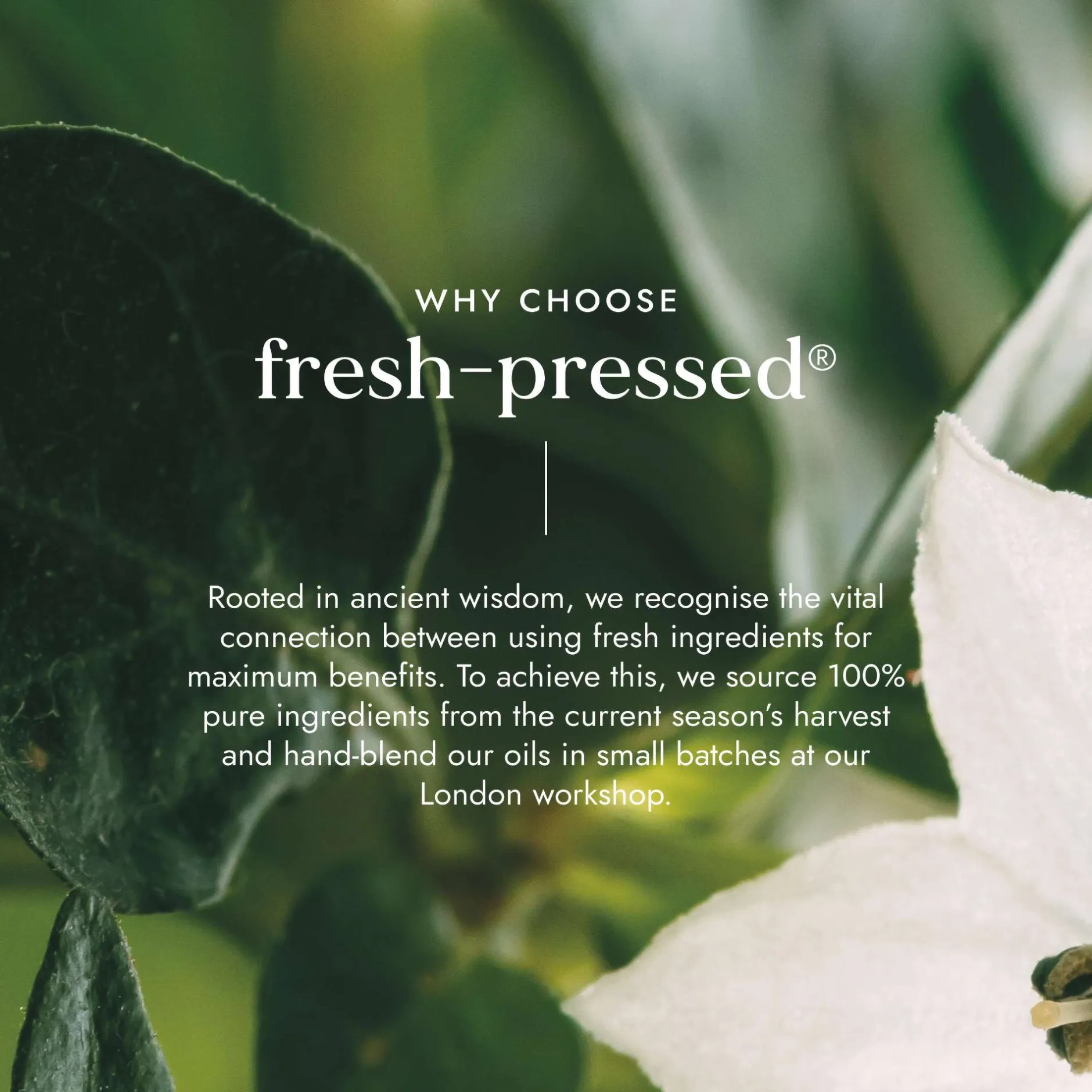 Fushi Skincare Organic Camellia Oil 100ml Online