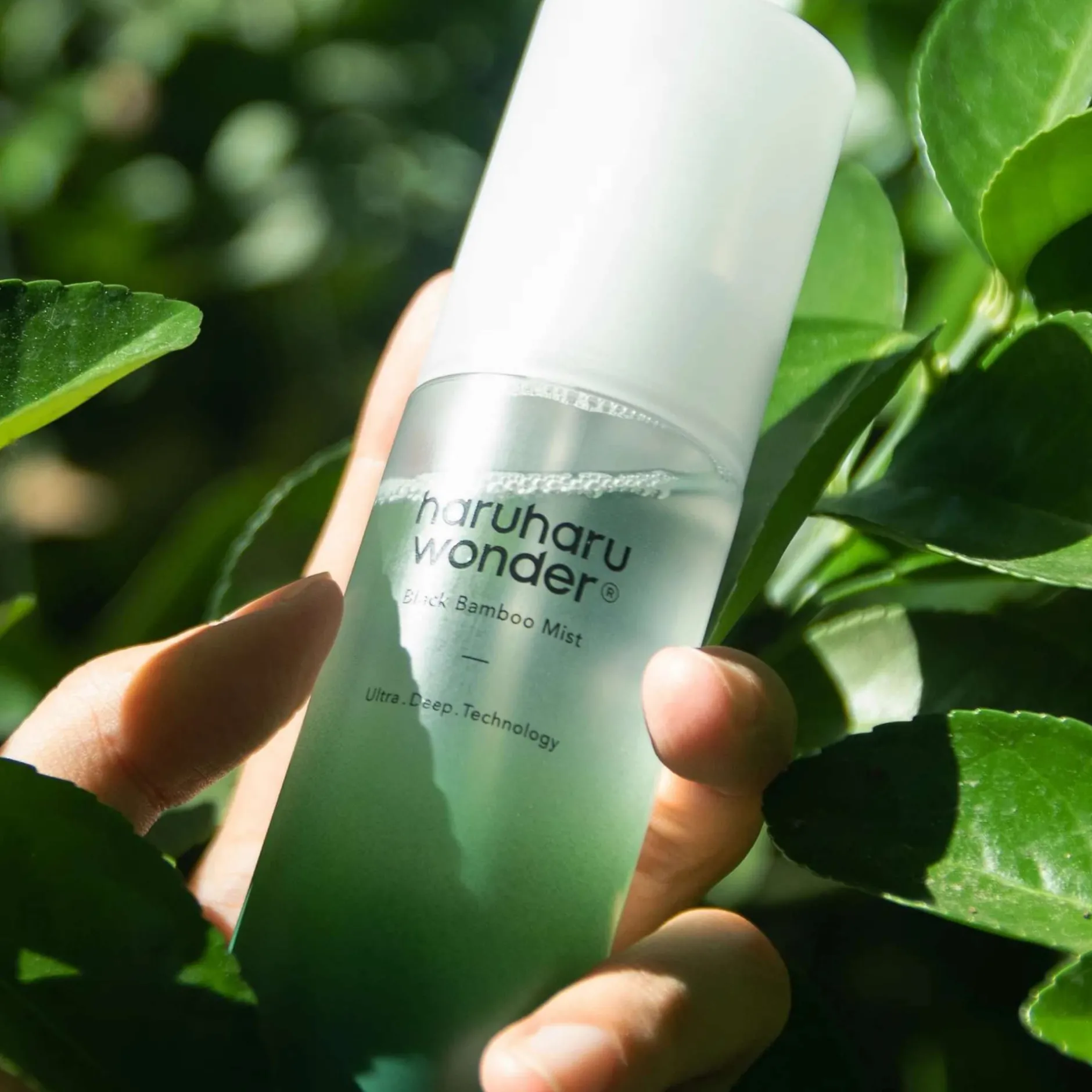 Haruharu Wonder Skincare Black Bamboo Mist 150ml Sale