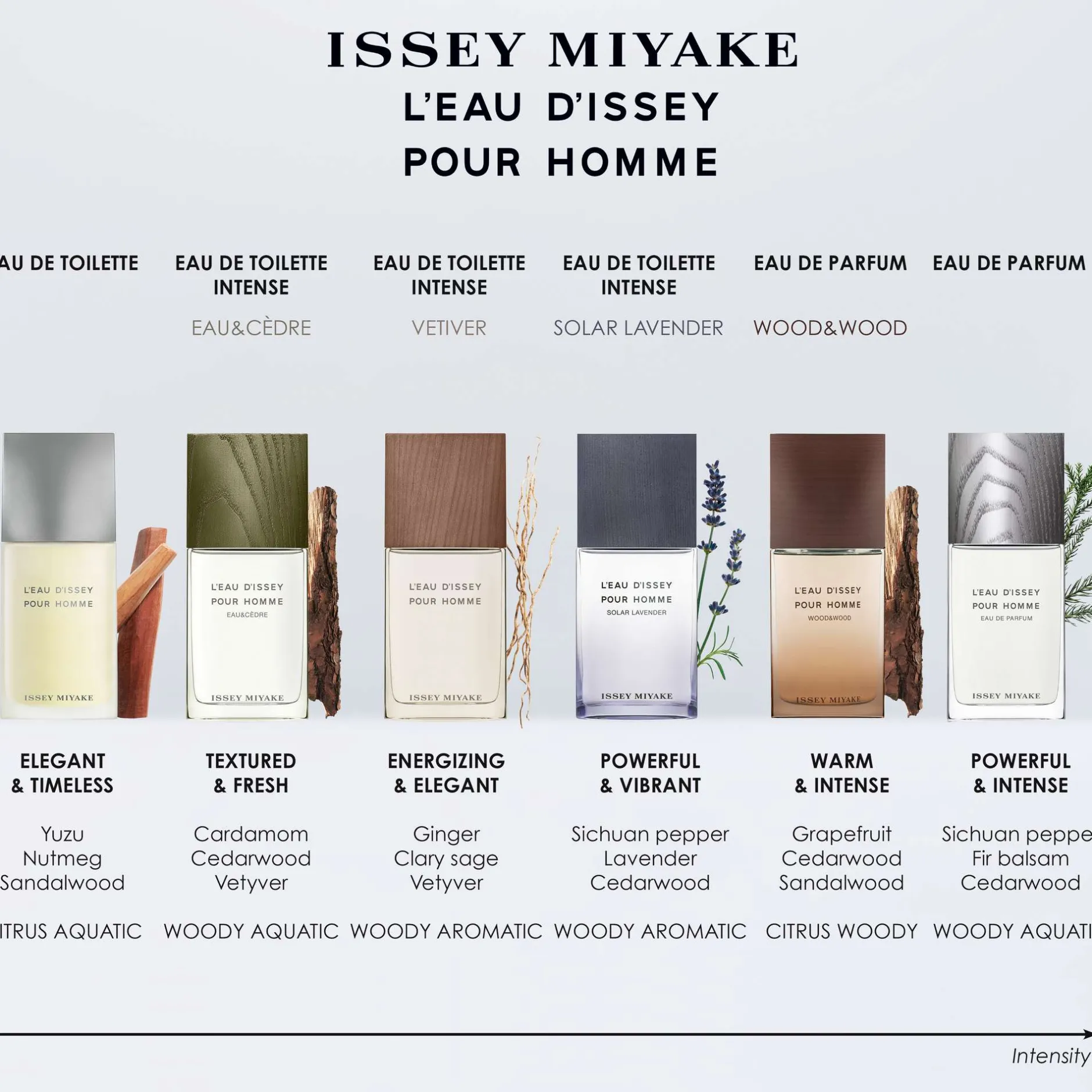 Issey Miyake L'Eau d'Issey Pour Homme Eau de Parfum Spray 75ml Clearance