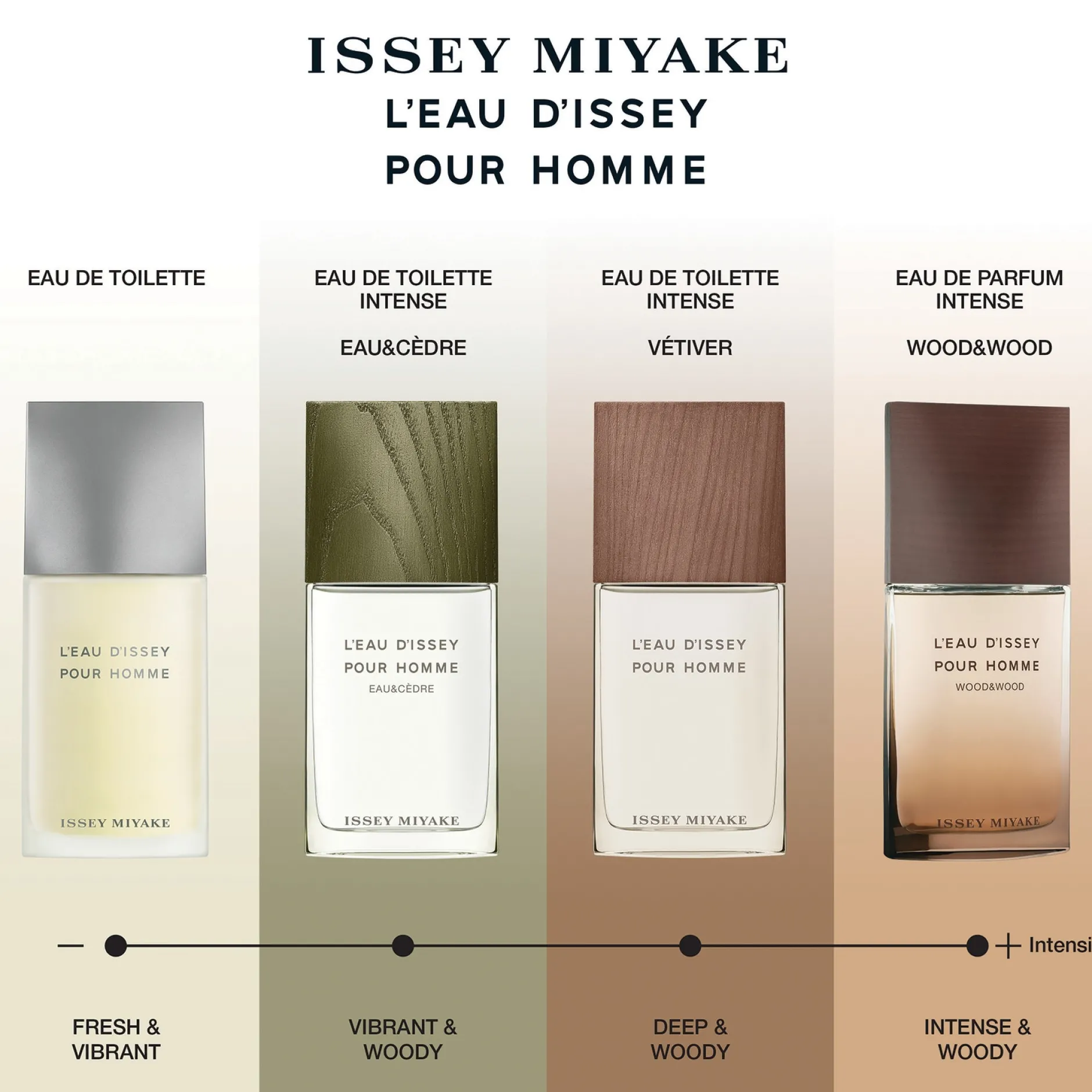Issey Miyake L’Eau d’Issey Pour Homme Vétiver Eau de Toilette Intense Spray 50ml Sale
