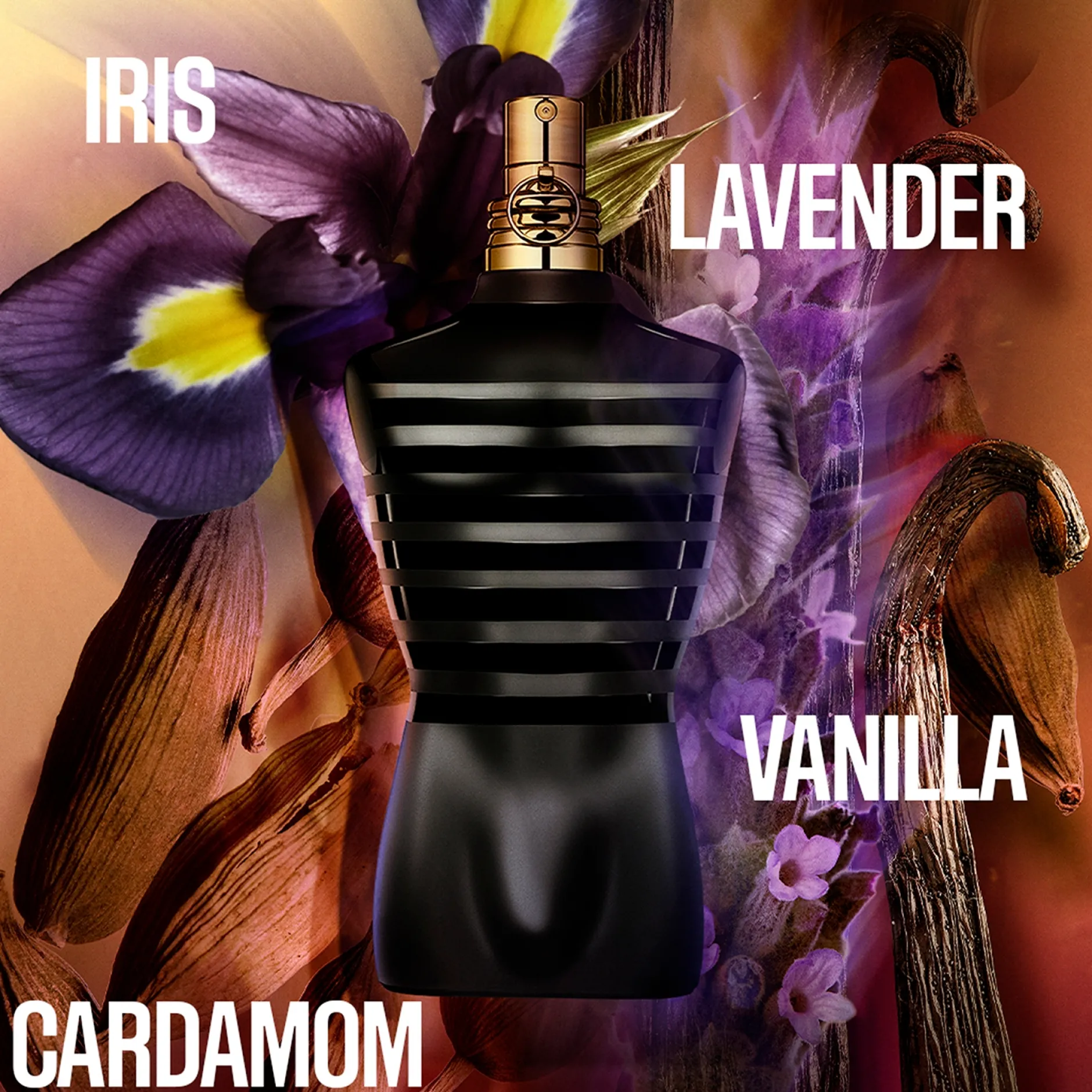 Jean Paul Gaultier Le Male Le Parfum Eau de Parfum Intense 200ml Outlet