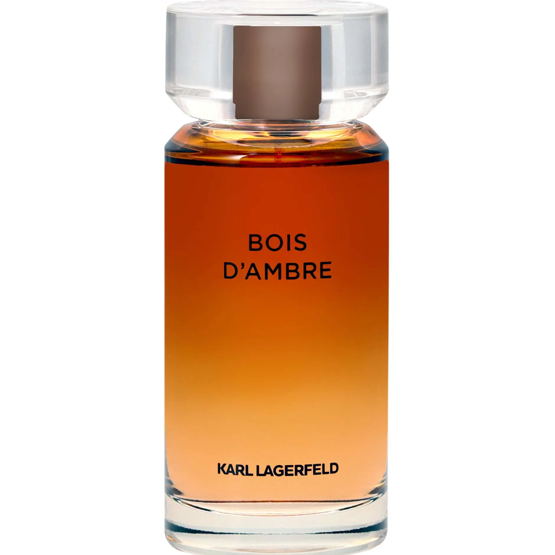 Karl Lagerfeld Bois D'Ambre Eau de Toilette Spray 100ml New