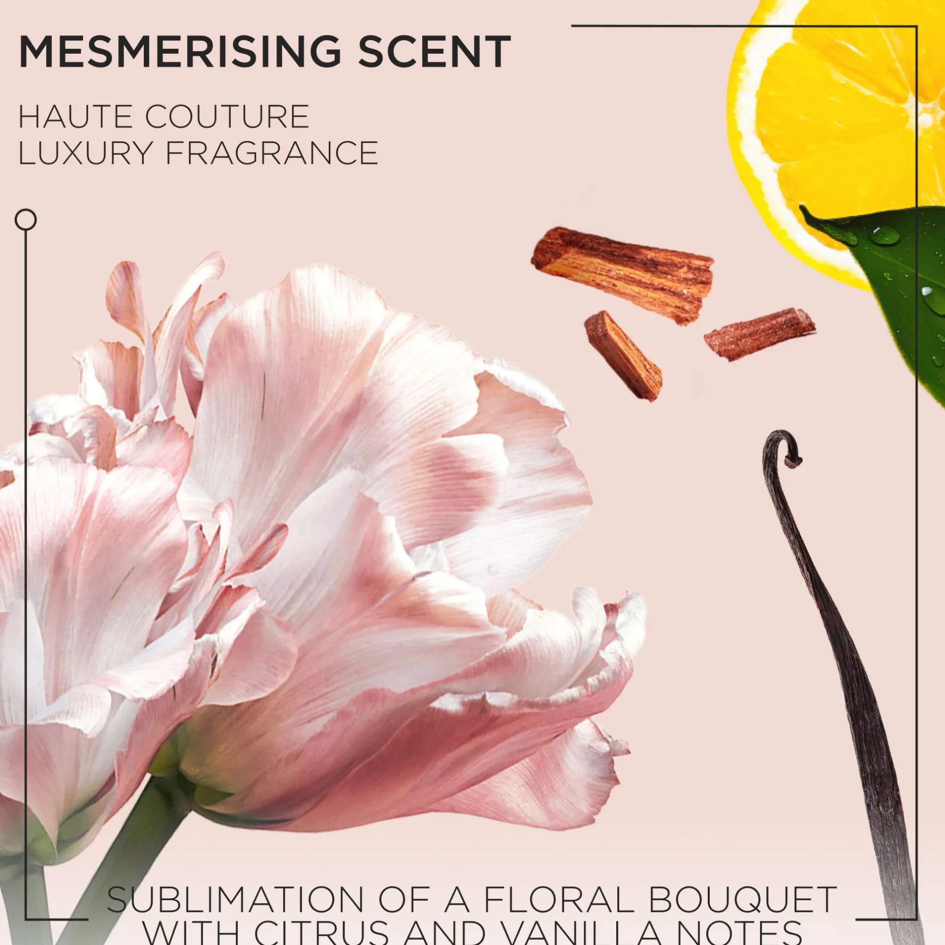 Kérastase Gloss Absolu Shampoo for All Hair Types with Glycolic Acid, Hyaluronic Acid & Wild Rose 80ml Online