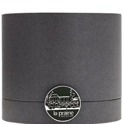 La Prairie The Radiance Collection Pure Gold Radiance Cream 50ml Outlet