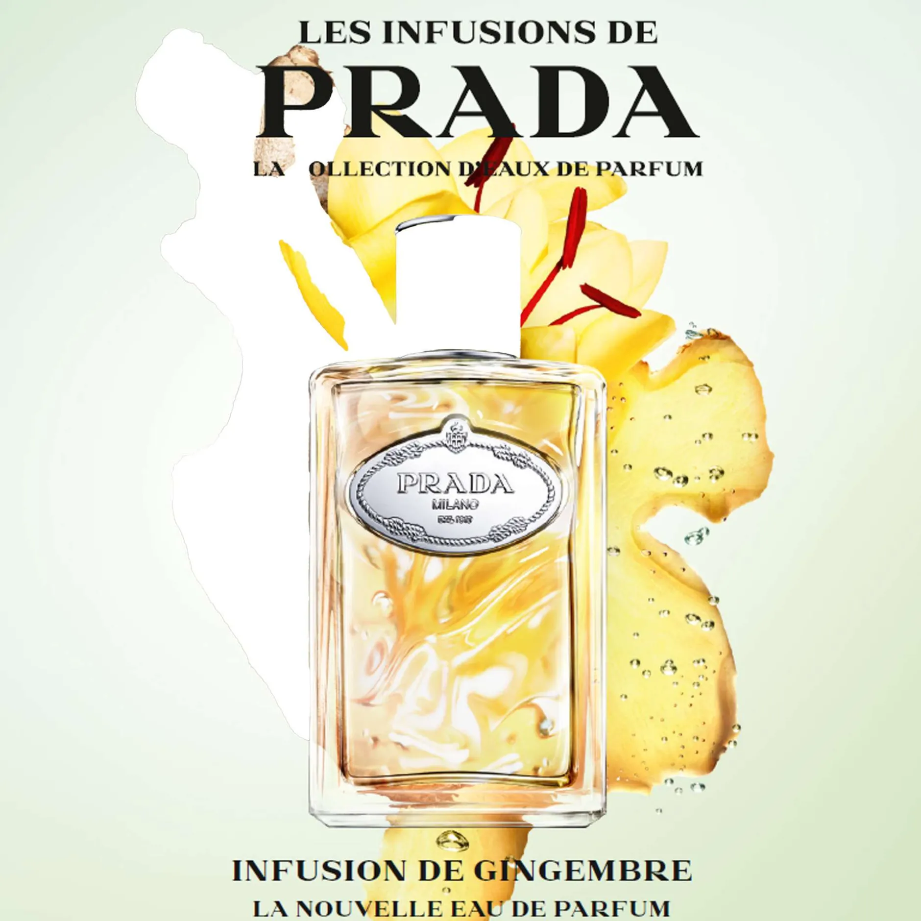 Prada Infusion de Gingembre Eau de Parfum Spray 100ml Online