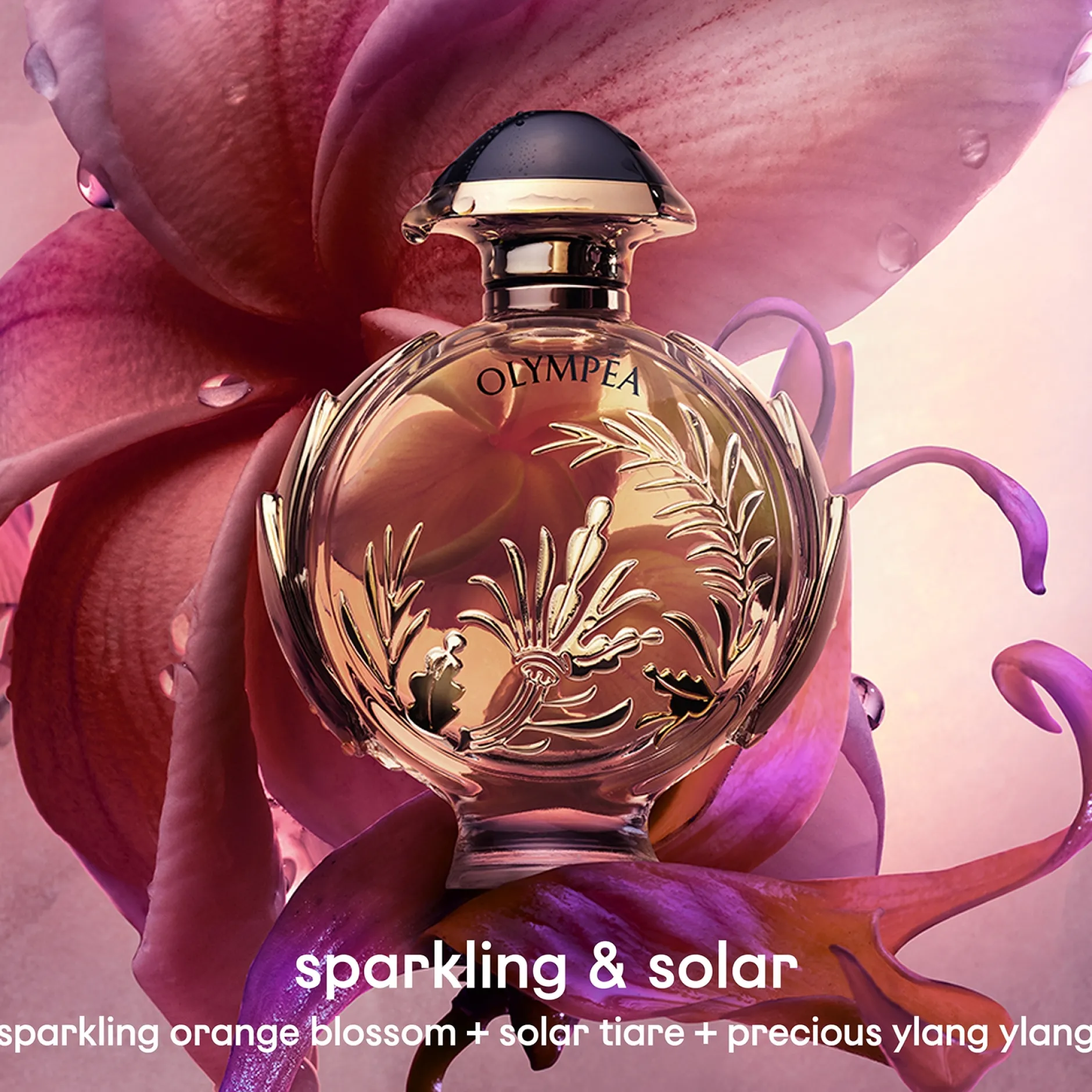 Rabanne Olympéa Solar Eau de Parfum Intense 80ml Hot