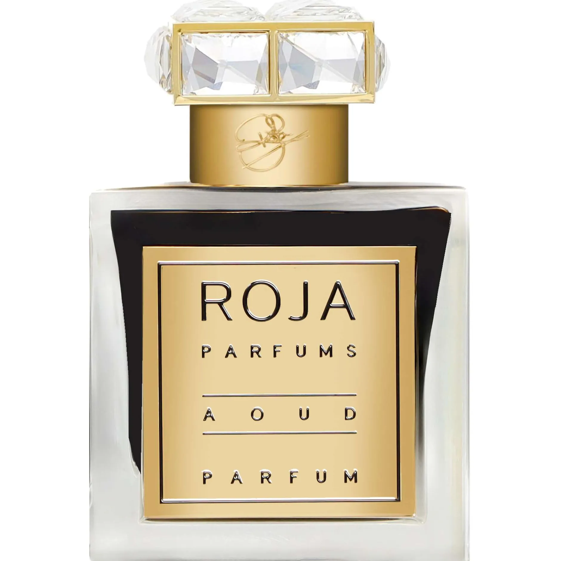 Roja Parfums Aoud Parfum Spray 100ml Online