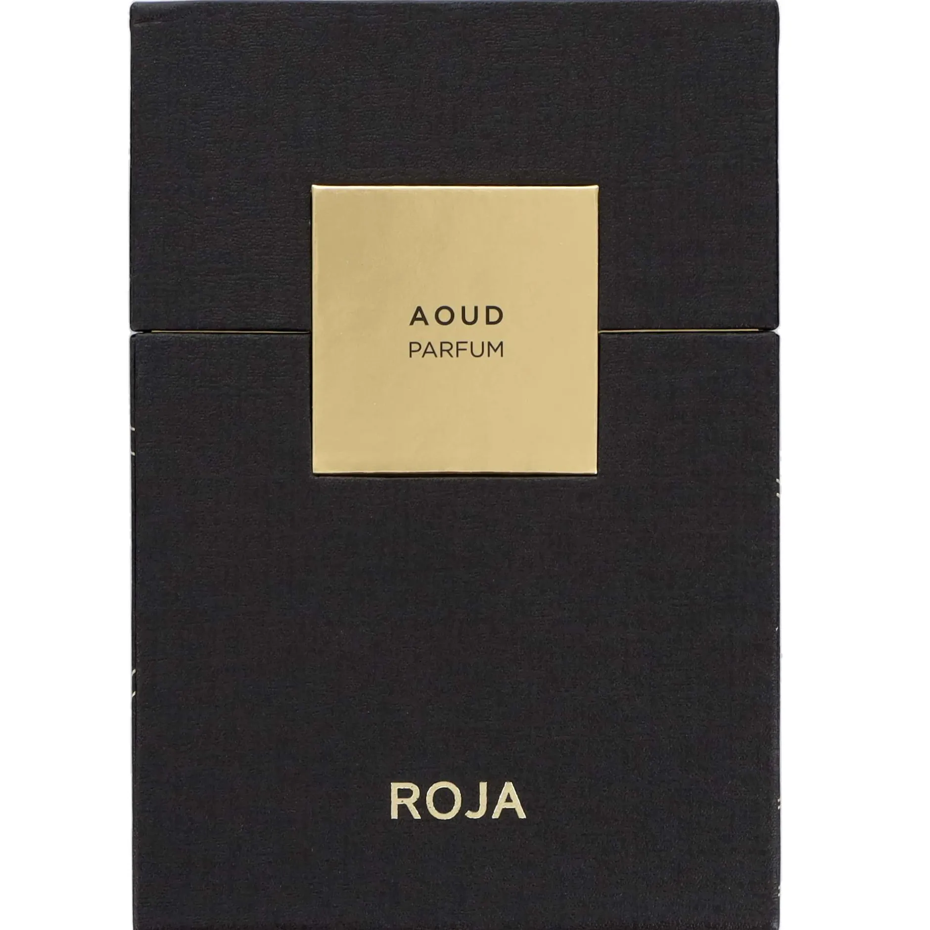 Roja Parfums Aoud Parfum Spray 100ml Online