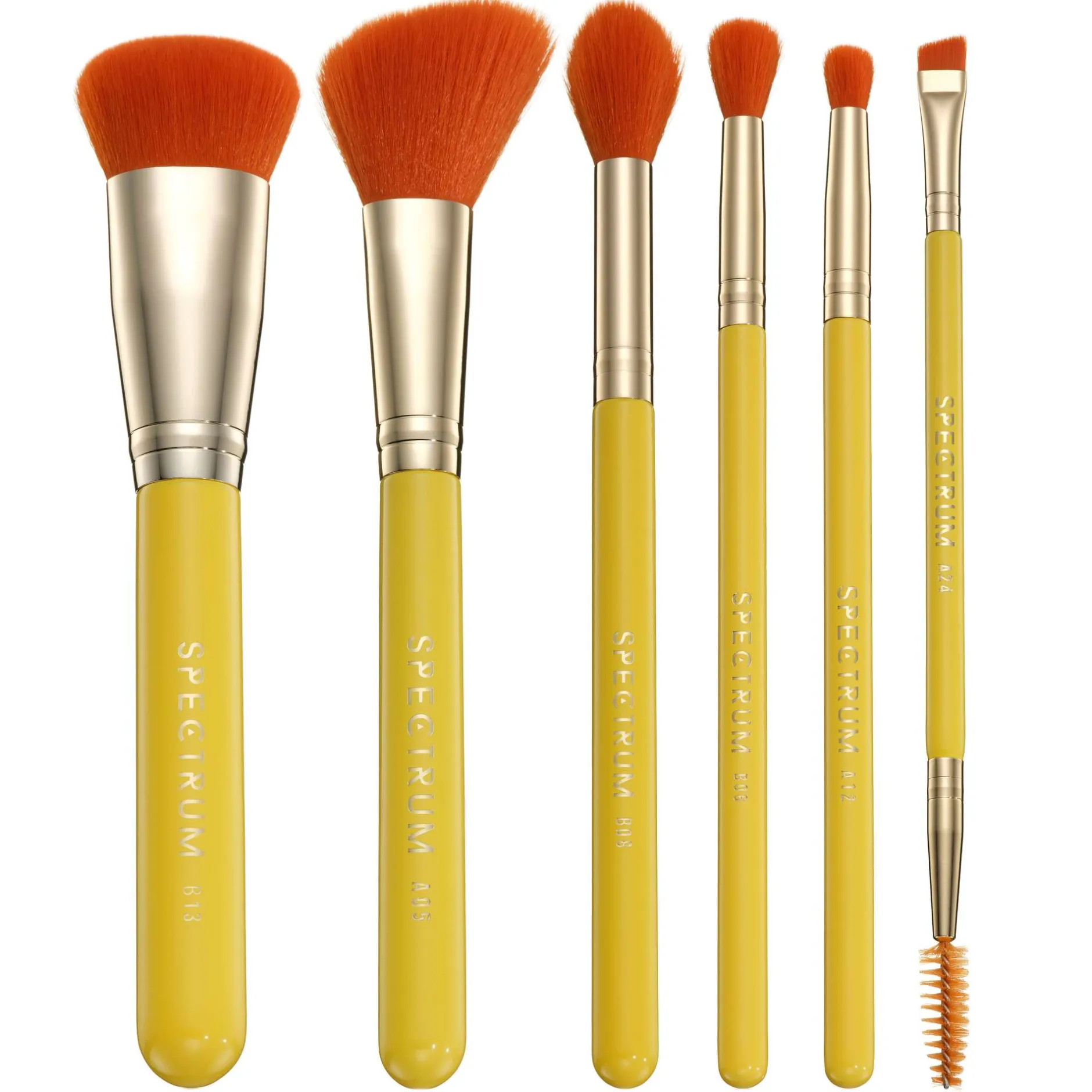 Spectrum Everyday Sets Picante 6 Piece Brush Set Online