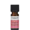 Tisserand Aromatherapy Pure Essential Oils Geranium Organic Essential Oil 9ml Online