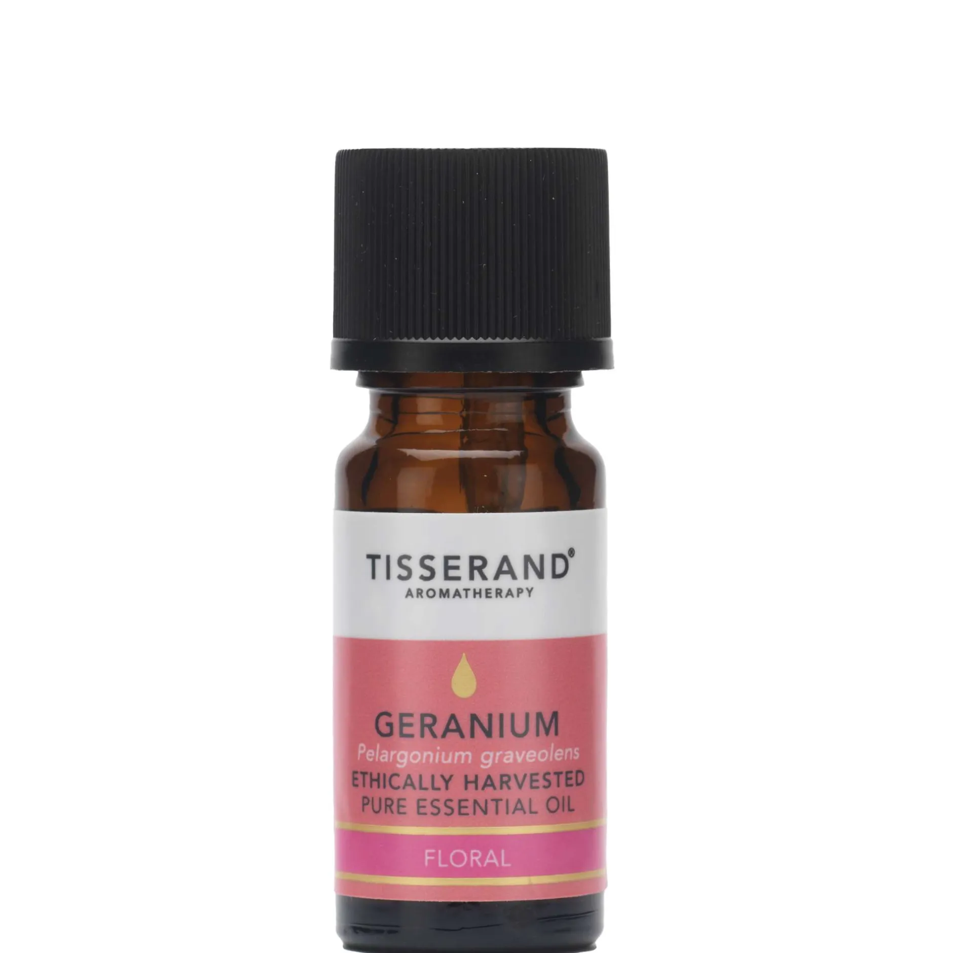 Tisserand Aromatherapy Pure Essential Oils Geranium Organic Essential Oil 9ml Online