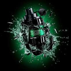 Viktor&Rolf SpiceBomb Night Vision Eau de Toilette Spray 50ml Online